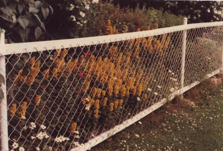 bild193.jpg - Staketet med blomster i Bäck